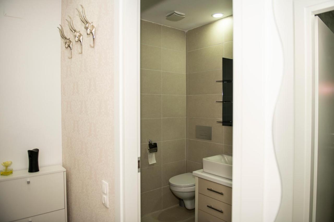 Raphael Apartment North Bucharest Cosmopolis Stefanestii de Jos Εξωτερικό φωτογραφία
