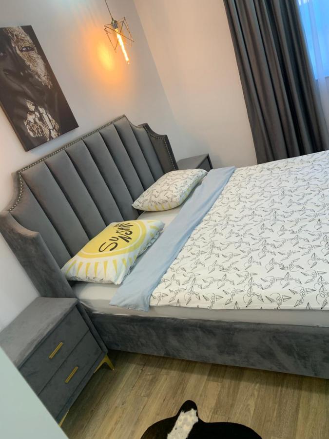 Raphael Apartment North Bucharest Cosmopolis Stefanestii de Jos Εξωτερικό φωτογραφία